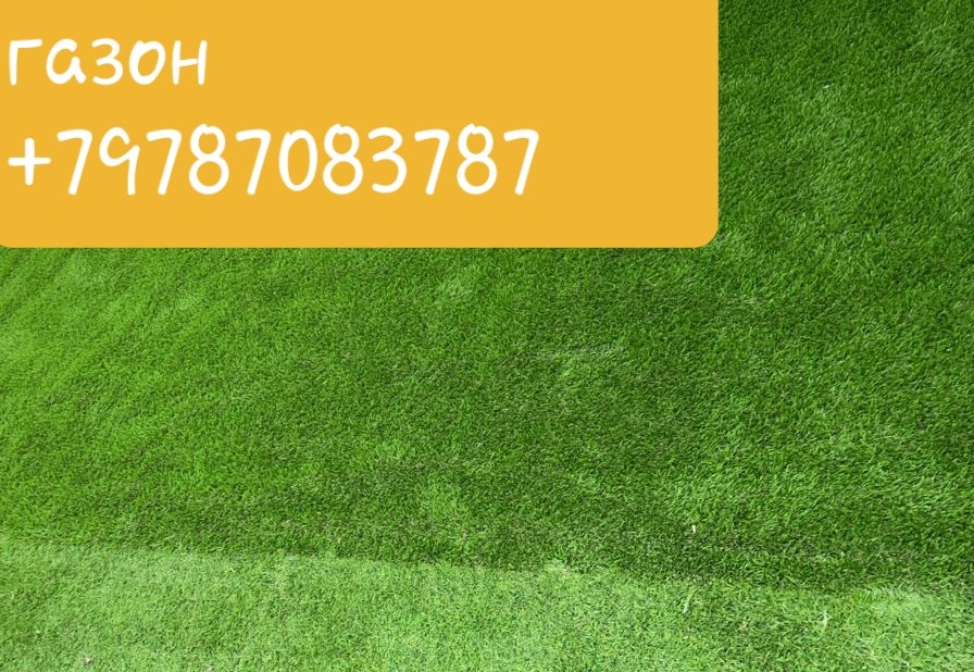 ��������� ������ ������������ ��������� +79787083787