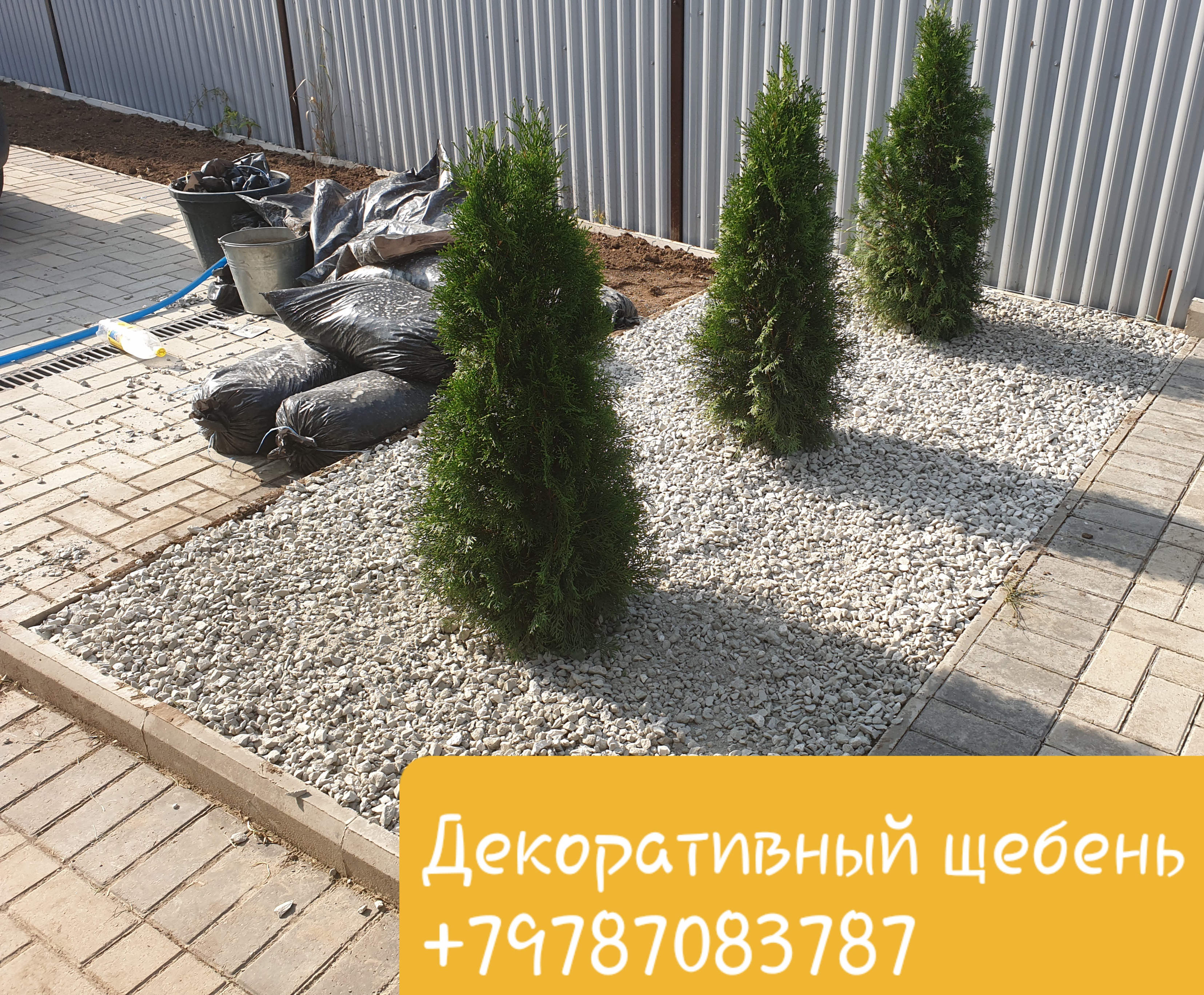 �������� ���� ������ +79787083787